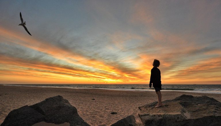 HEAL – A Journey to Emotional Wholeness: Healing From Within
